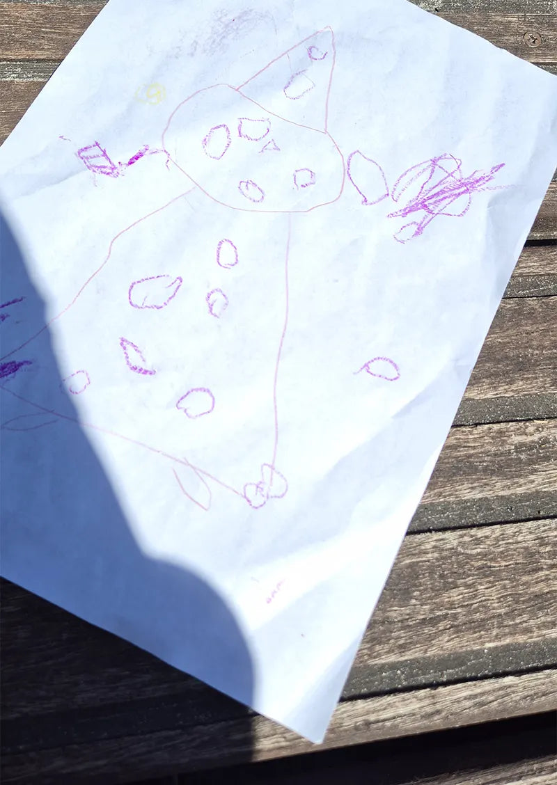 Minder goed voorbeeld van een kindertekening met een sterke schaduw
